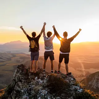 小森生活怎么获取猫猫